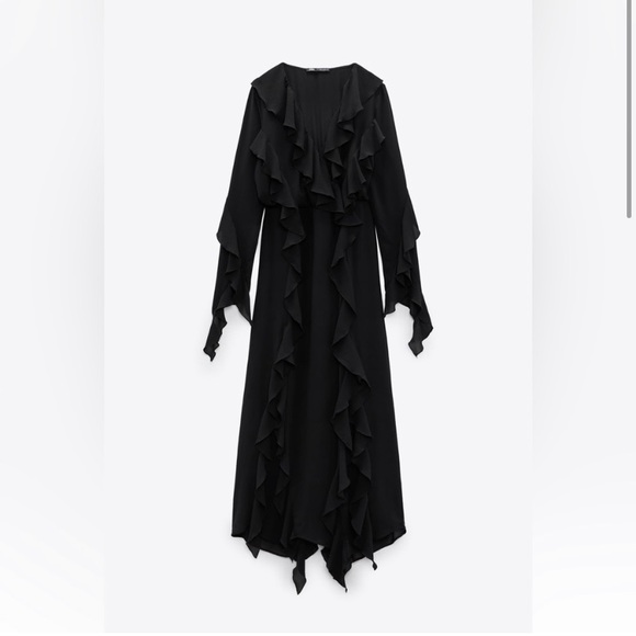 NWT Zara Limited Edition Ruffle Dress - Picture 2 of 10